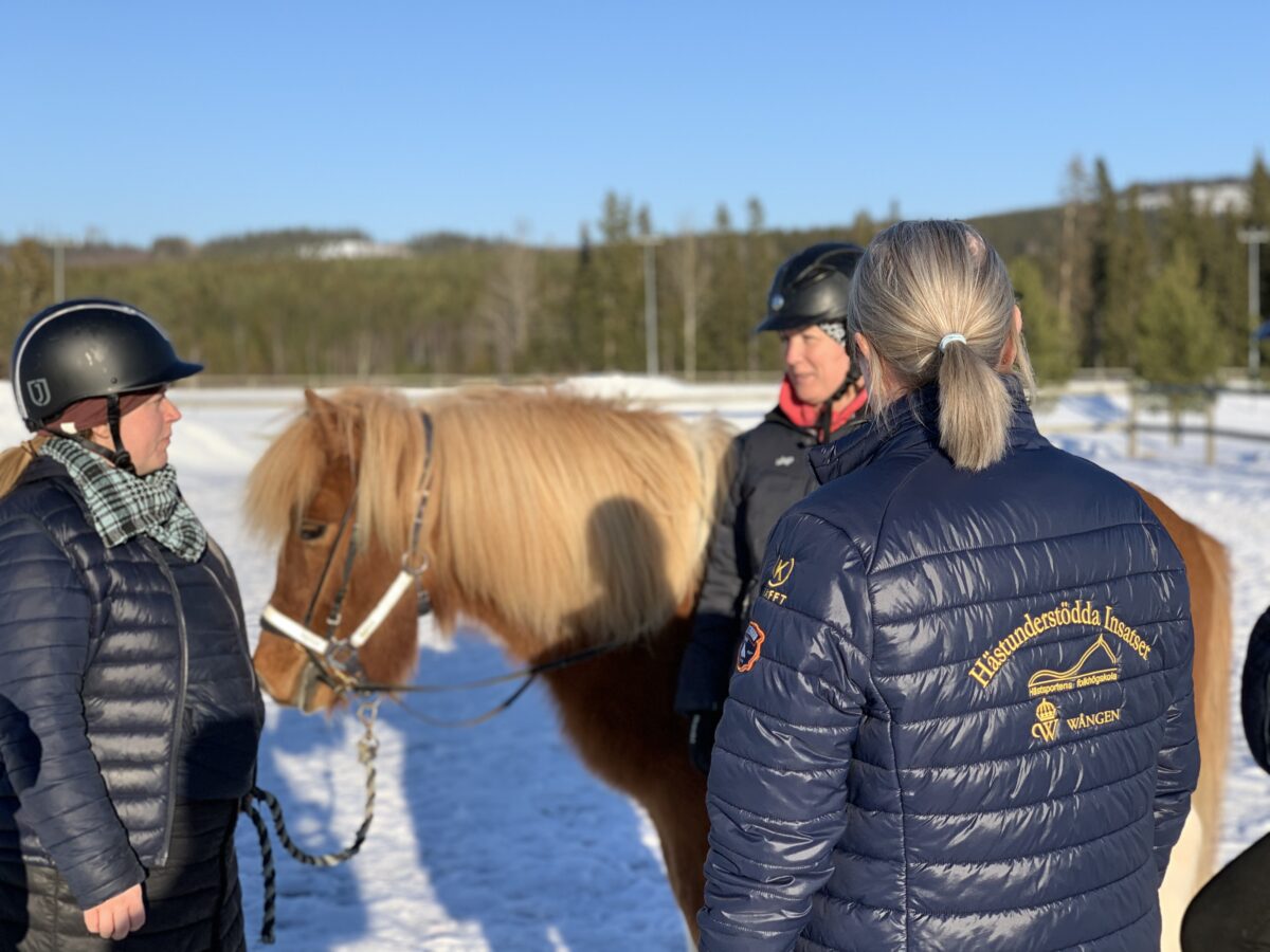 Tre personer i ridkläder står utomhus och pratar bredvid en brun häst med ljus man, i ett vinterlandskap med skog i bakgrunden.