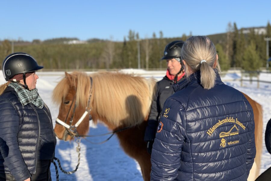 Tre personer i ridkläder står utomhus och pratar bredvid en brun häst med ljus man, i ett vinterlandskap med skog i bakgrunden.